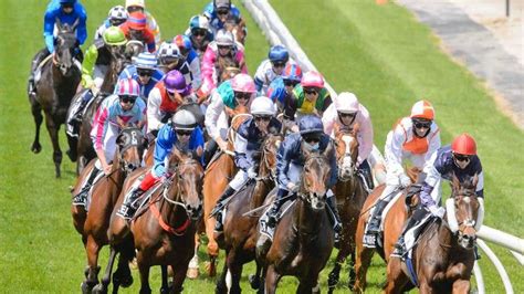 Melbourne Cup 2021: Who won, prize money, final field, barriers .